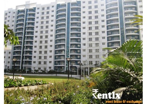2.5 BHK brand new Flat on Rent in Pune