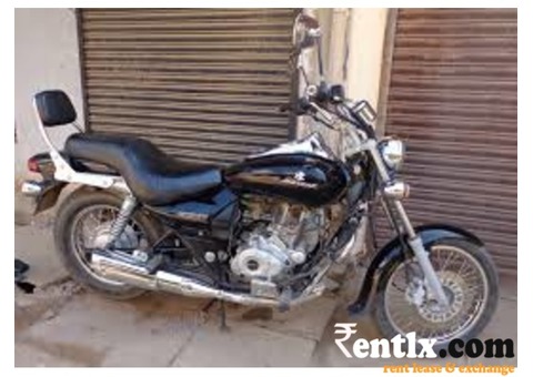 Bajaj Avenger Bike on Rent in  Bengaluru