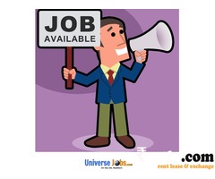 Customer Care Executive - Looking For a Job