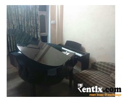 Grand Piano on rent for Video shoot in Lucknow