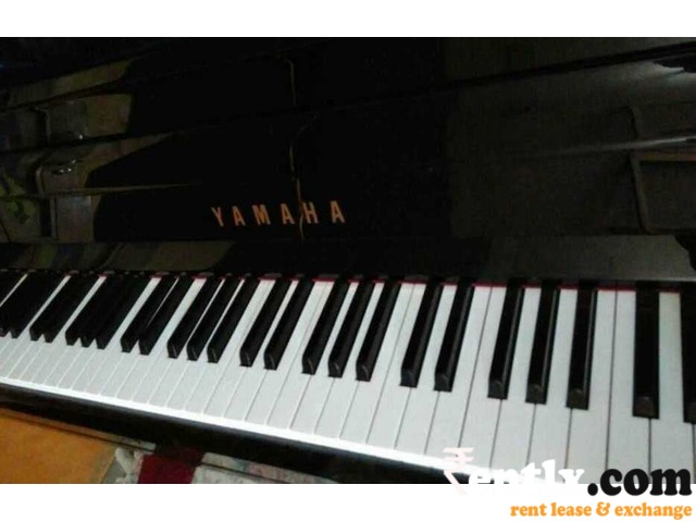 Piano On Rent in Delhi