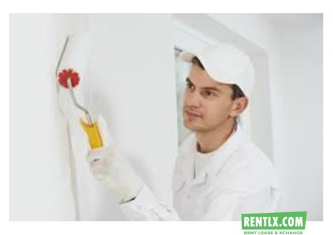 painter for house painting work at jaipur