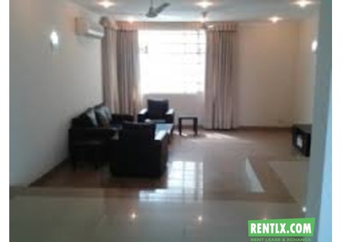 1Rk fully furnished flat for rent in Delhi