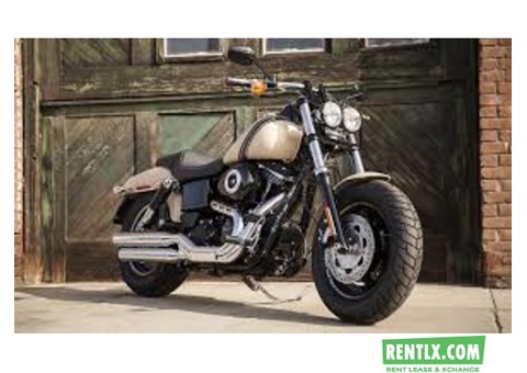 Harley Davidson for rent