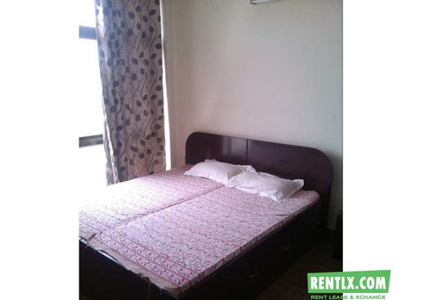 One bhk flat on Rent in Jaipur