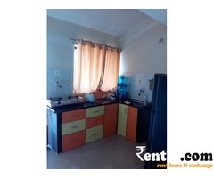 Beautiful Apartment On Rent