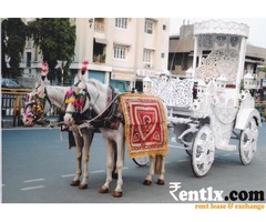 wedding Horse Bagi and Horse jeep on rent
