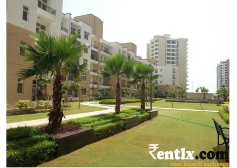 apartment for rent at omaxe greater noida 