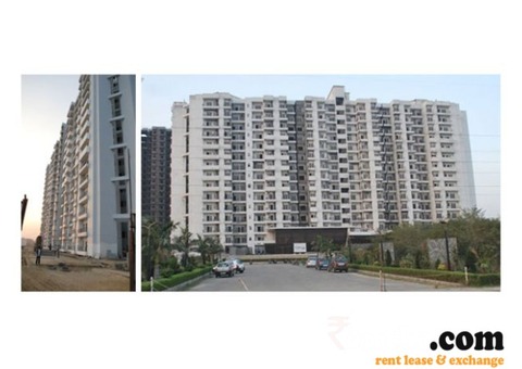 flat for rent in Ajnara Homes 121 Noida Sector 121