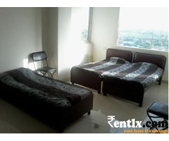 Excellent PG for Male at Noida Sec 126