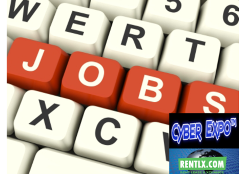 Copy Paste Form Filling work Make Rs-1000/-daily (ISO Certified)