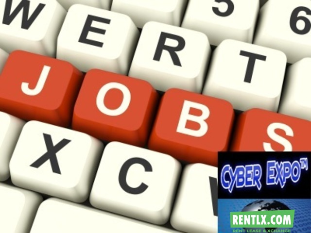 Online Form Filling Jobs in ISO Certified Company 280 Jobs Vacancy.