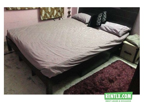 One Room set on Rent in  Sector 51, Noida