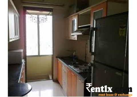 PG Lavish 2 Bhk flat without owner , no timing restriction