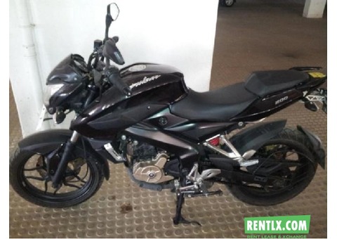 Pulsar 200 NS on Rent in Pune