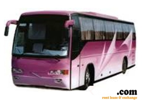 Providers of Cars and Coaches on rent