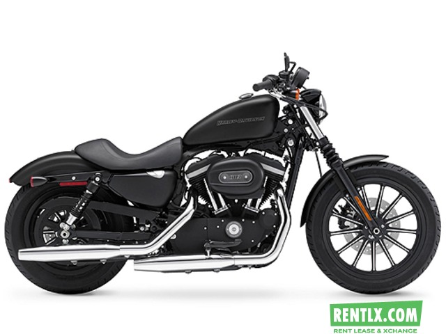 Harley Davidson Iron 883 on rent in Delhi/NCR