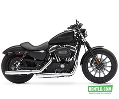 Harley Davidson Iron 883 on rent in Delhi/NCR