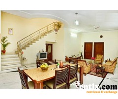 Pink City Home Stay