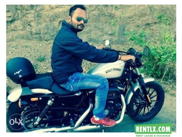Harley Davidson - Iron 883 on Rent in Pune