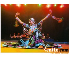 Artists, folk dancers, bhangra, available for live shows