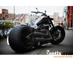 Harley Davidson 2015 On Rent