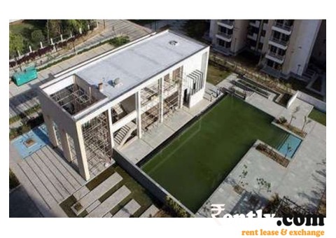  Brand new flat on rent in Gurgaon
