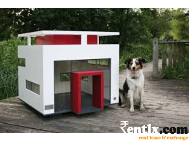 dog house for Rented Boarding of Your Pets Dog