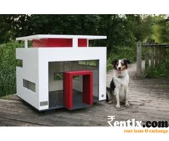 dog house for Rented Boarding of Your Pets Dog