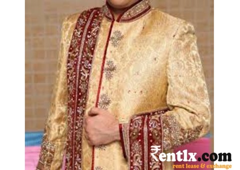 Wedding Indo western suits on rent in Pune
