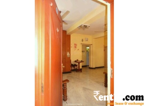 2 Bhk Flat available on Rent in Delhi 