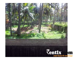 17 cent plot on  Rent in near Homeo college 