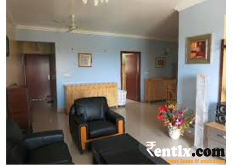 3bhk Fully furnished Apartment on Rent in Sanganer road, Sodala