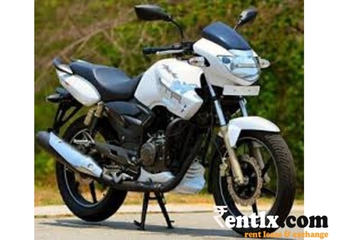 TVS Apache Bike Available on Rent 